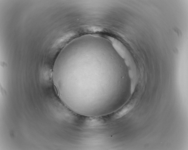 X0000091310624200708101504