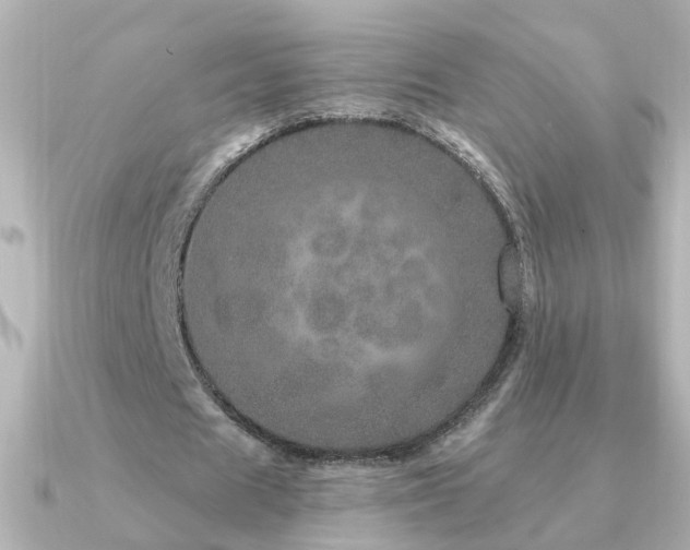 X0000091310625200708101504