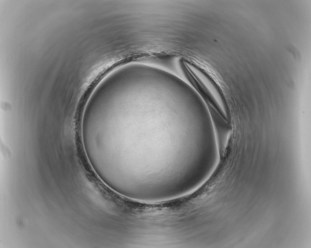 X0000091310626200708101504