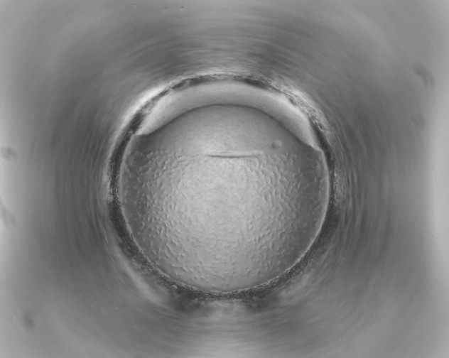 X0000091310628200708101504