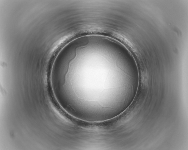 X0000091310629200708101504