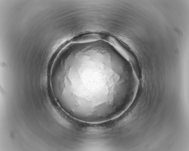 X0000091310630200708101504