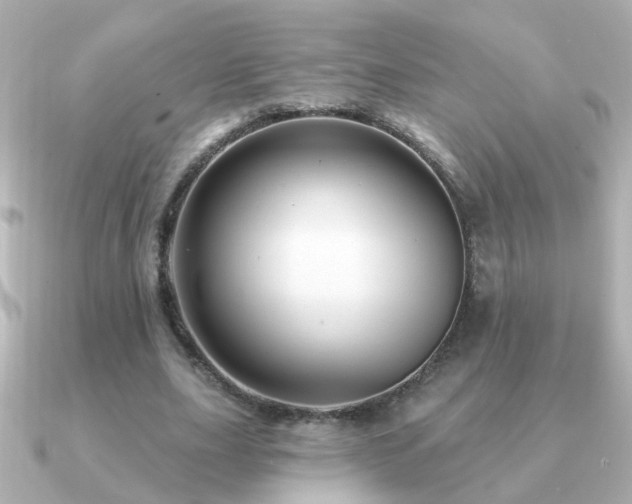 X0000091310631200708101504