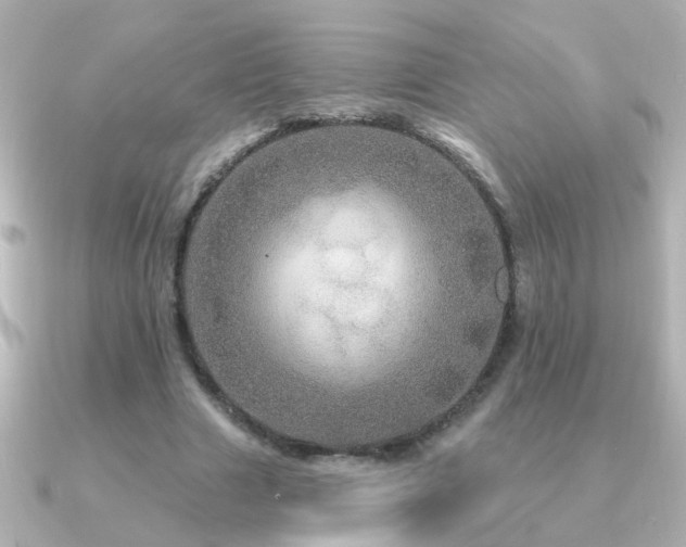 X0000091310633200708101504