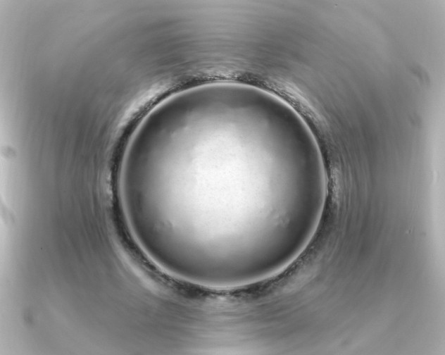 X0000091310634200708101504