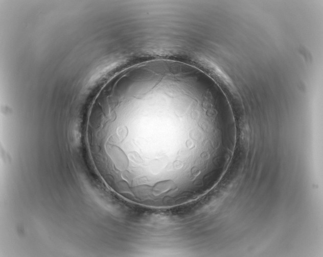 X0000091310635200708101504