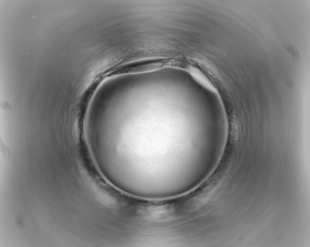 X0000091310638200708101504