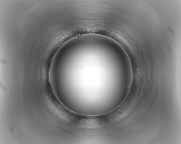 X0000091310639200708101504