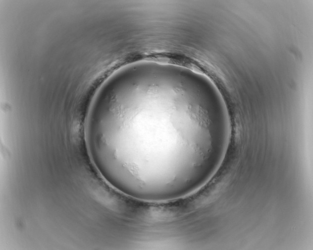 X0000091310641200708101504