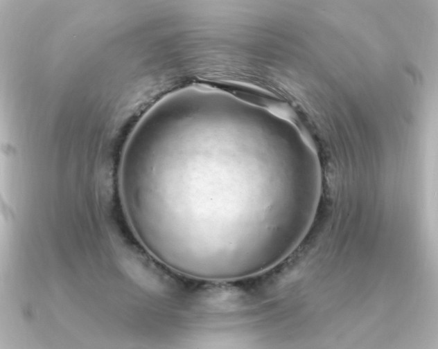 X0000091310642200708101504