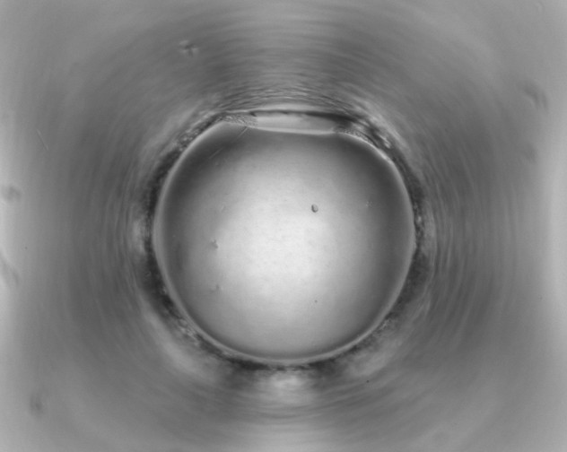 X0000091310643200708101504