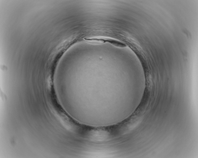 X0000091310644200708101504