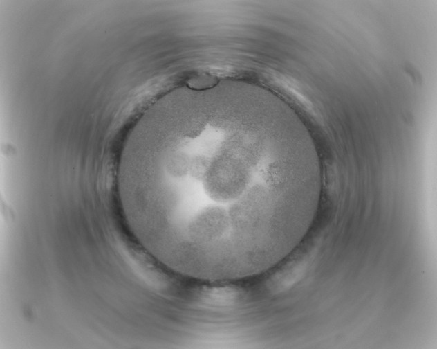 X0000091310645200708101504