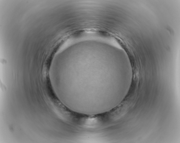 X0000091310647200708101504