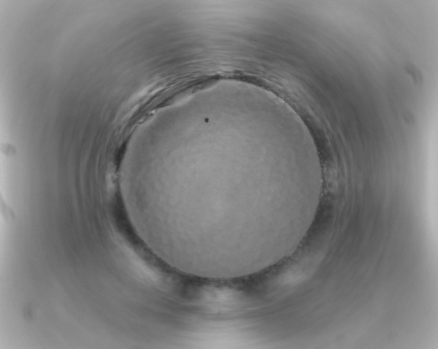 X0000091310648200708101504