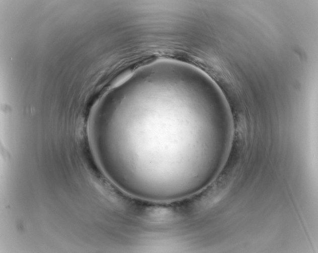 X0000091310649200708101504