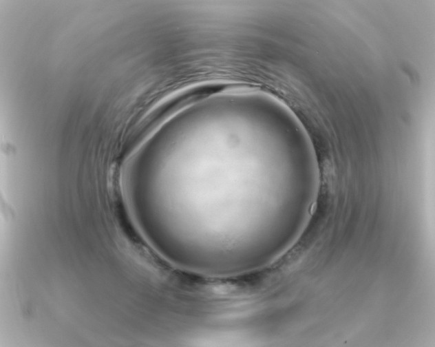 X0000091310650200708101504