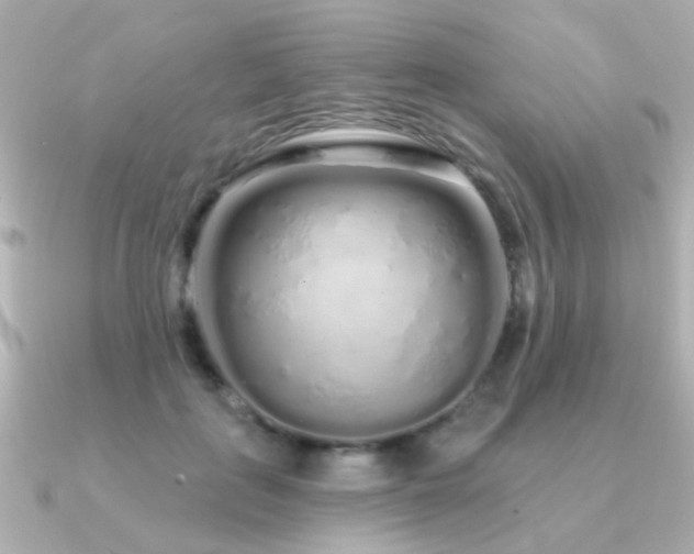 X0000091310651200708101504