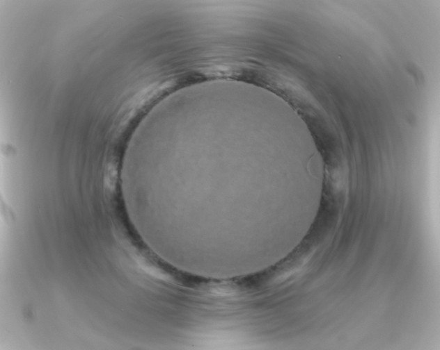 X0000091310652200708101504