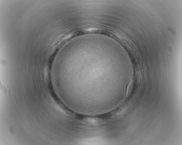 X0000091310654200708101504