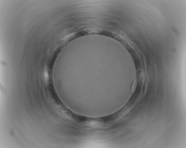 X0000091310655200708101504