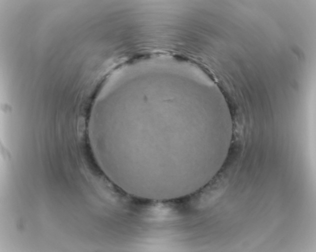 X0000091310656200708101504