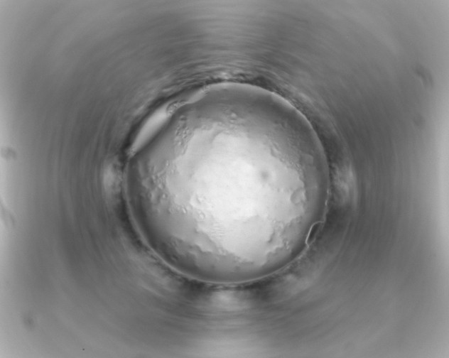 X0000091310657200708101504