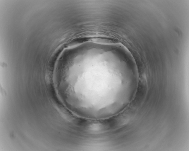 X0000091310658200708101504