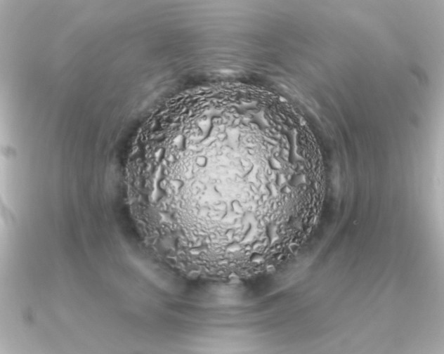 X0000091310659200708101504