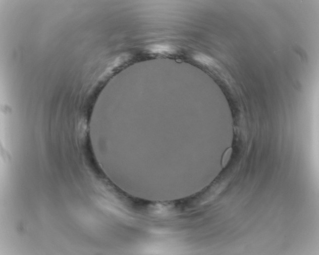 X0000091310660200708101504