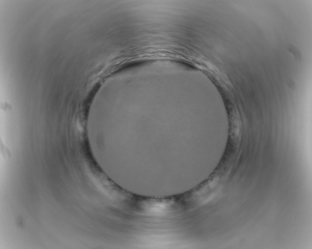 X0000091310661200708101504