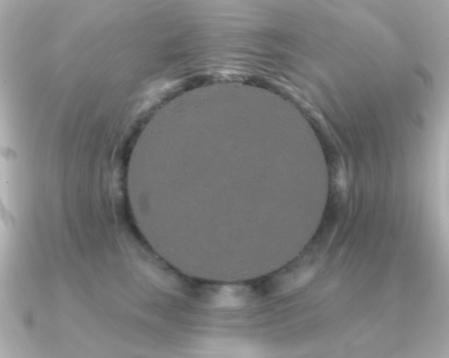 X0000091310663200708101504