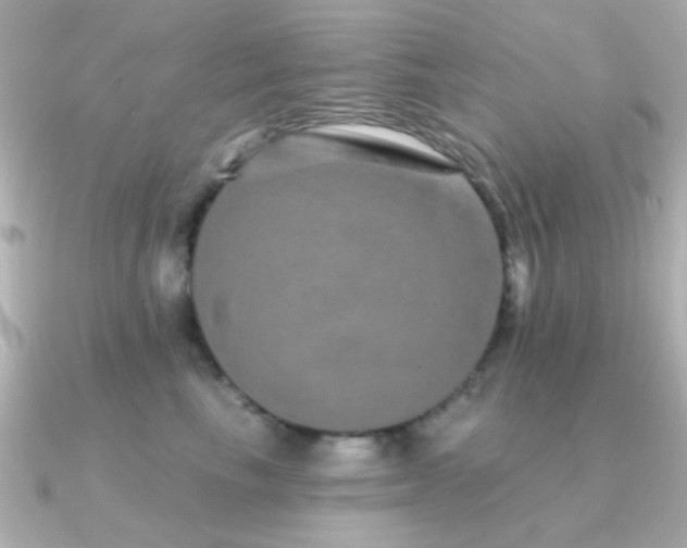 X0000091310665200708101504