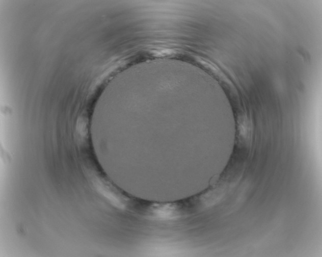 X0000091310667200708101504