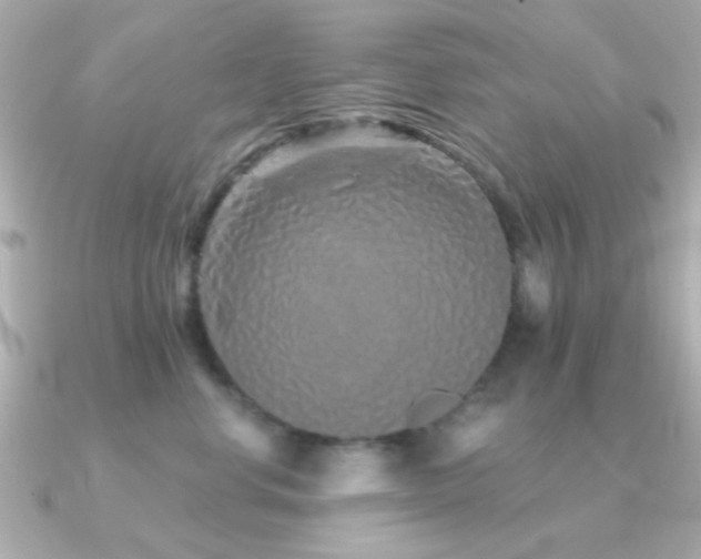 X0000091310668200708101504