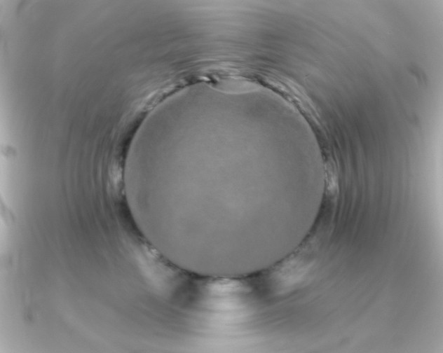 X0000091310669200708101504