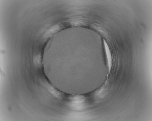 X0000091310670200708101504