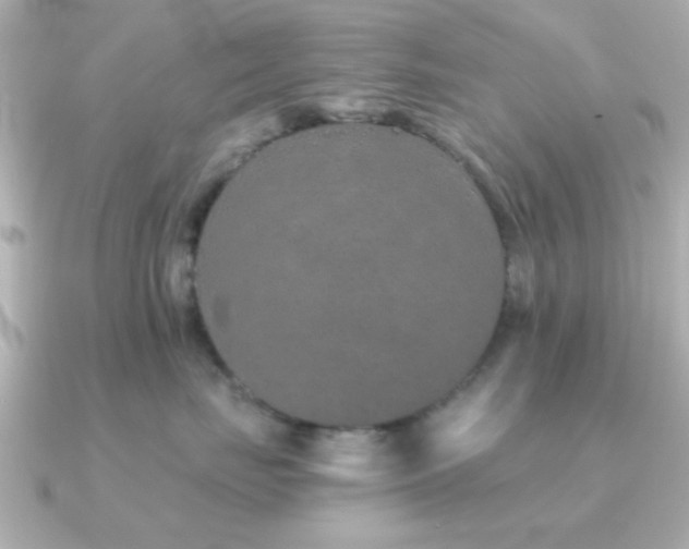 X0000091310671200708101504