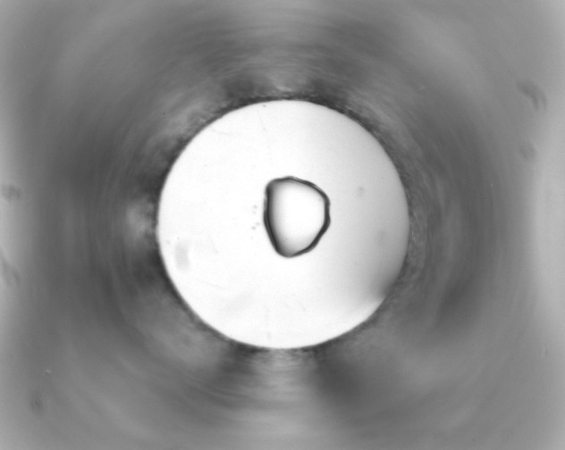 X0000091310672200708101504