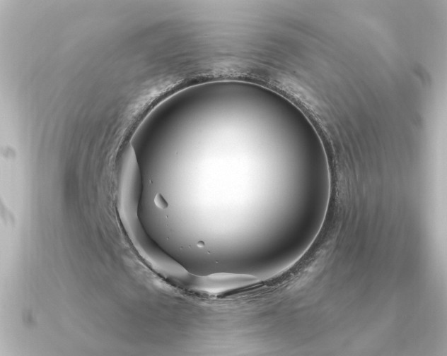 X0000091310673200708101504