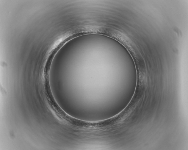 X0000091310674200708101504