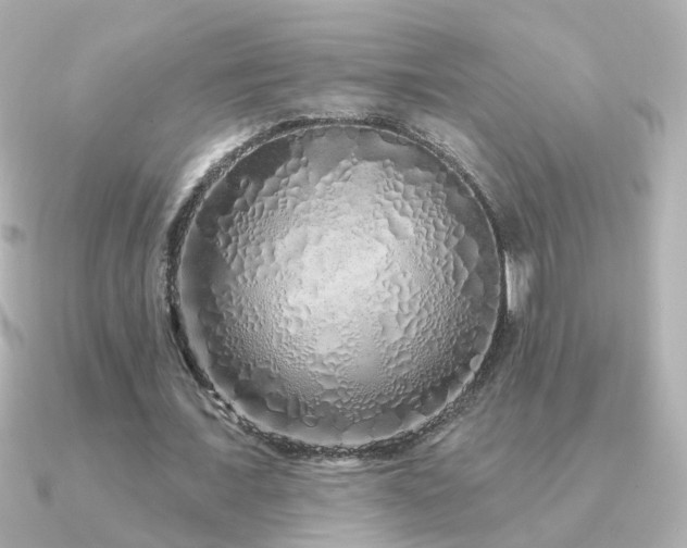 X0000091310675200708101504