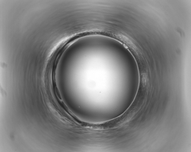 X0000091310676200708101504