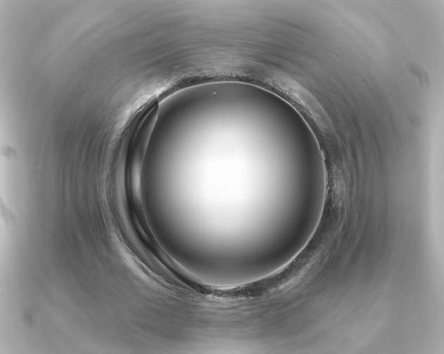 X0000091310677200708101504