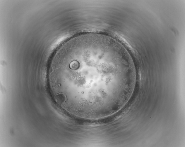 X0000091310679200708101504