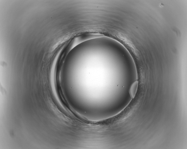 X0000091310681200708101504