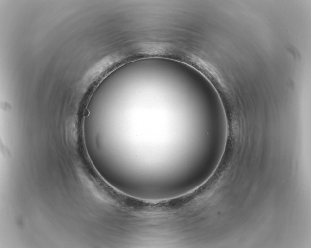 X0000091310682200708101504