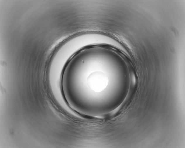 X0000091310684200708101504