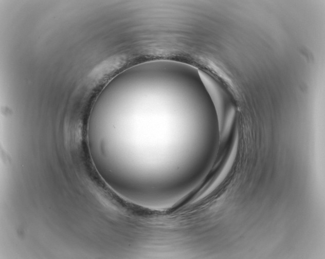 X0000091310685200708101504