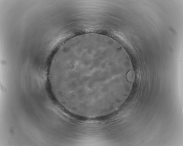 X0000091310691200708101504